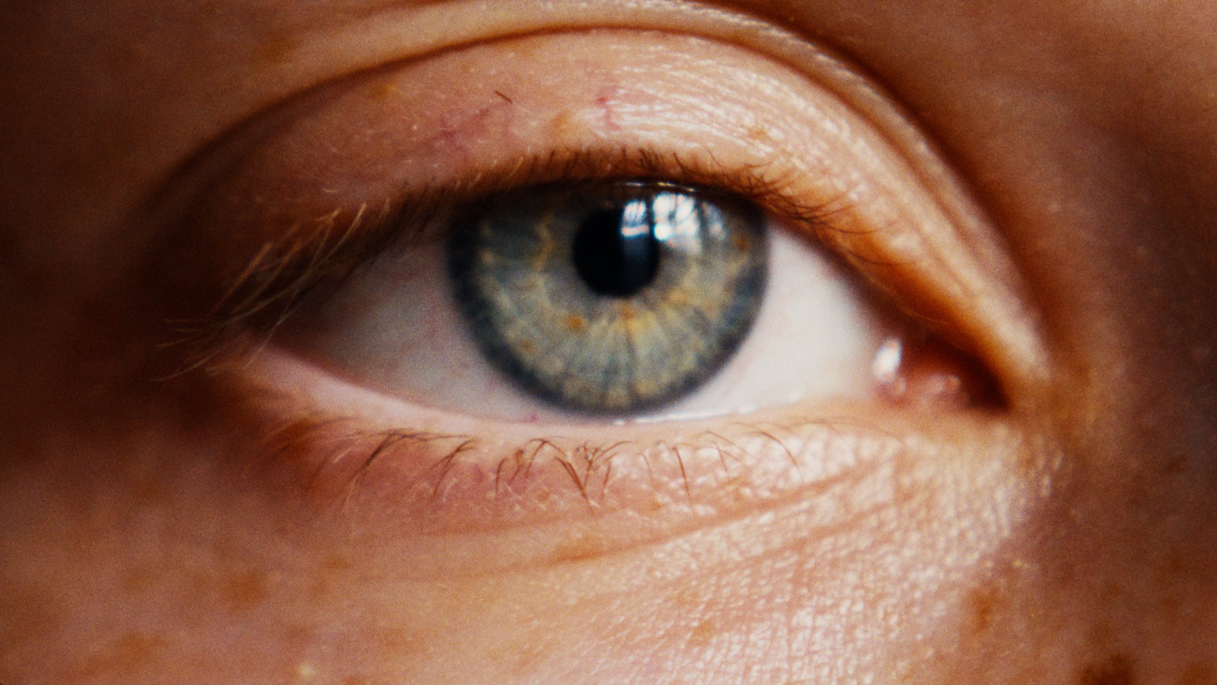 Close-up of an eye, the catchlight drawn across the iris, before